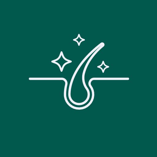 Shop Name: Hair Care